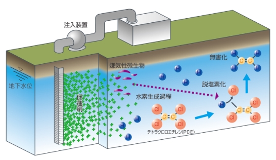 原位置浄化法のイメージ（資料：鴻池組）