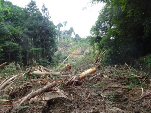 2018年7月の西日本豪雨で天然ダムが発生した京都府福知山市の谷河川(たにごがわ)。府からの要請を受けた日本工営は土砂崩れで山道が不通の中、現場に入って天然ダムの概要を調査した(写真:日本工営)