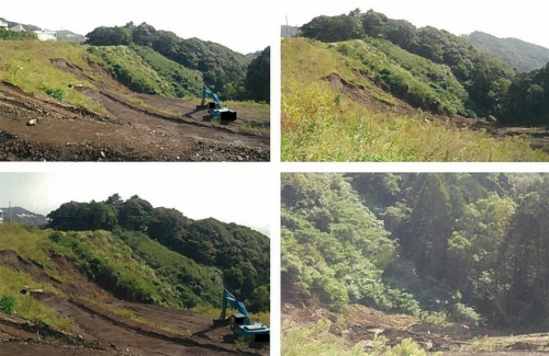 2011年10月の現地調査時の様子(写真:熱海市)