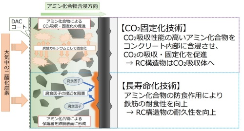DACコートのイメージ（資料：北海道大学、清水建設）