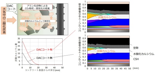 DACコートの有無で比較した5年後のCO<sub>2</sub>固定量のシミュレーション結果（資料：北海道大学、清水建設）
