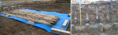 左は掘り出した丸太、右は掘り出し作業中の現場。丸太は約10年前に打設した(写真:飛島建設)