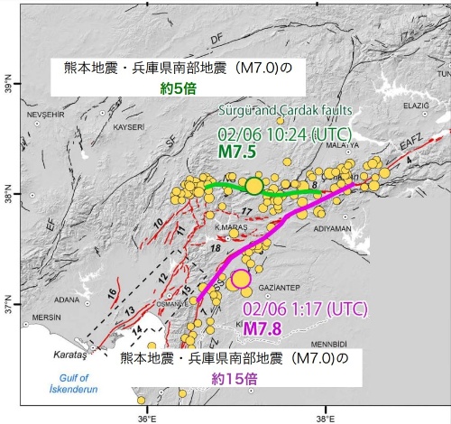 トルコ・シリア地震の震源の分布図。黄の円が大きいほどマグニチュードが大きい。M7.8の地震の震源断層をピンクの線、M7.5を黄緑の線で示した。震源断層の長さは2023年2月10日時点の解析結果（出所：遠田晋次・東北大学災害科学国際研究所教授）