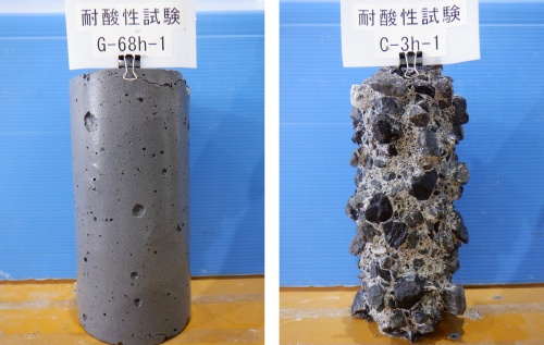 5％硫酸水溶液に112日間浸漬したコンクリート試験体。左はセメノン、右はセメントコンクリートでそれぞれ造った（写真：IHI、IHI建材工業、横浜国立大学、アドバンエンジ）