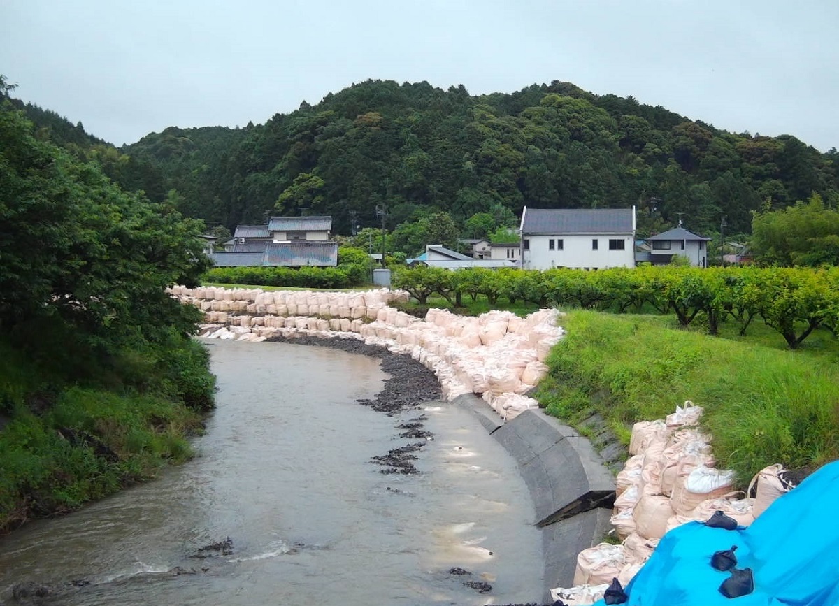2023年の決壊前の堤防。22年9月に決壊した後、大型土のうで応急復旧していた（写真：静岡県袋井土木事務所）