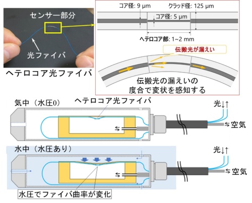 開発した水位モニタリングシステムで使う「ヘテロコア光ファイバ水位計」のイメージ(出所:奥村組)