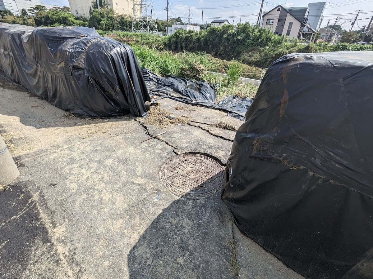 6個の大型土のうが撤去されていた明光橋下流の仮締め切り堤防。近くの護岸でひび割れを補修する際、必要な土の調達を怠り、土のうを解体して中の土を使用していた。越水発生2日後の2023年9月10日に撮影（写真：千葉県）