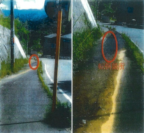 事故が発生した頃の状況。歩道をコケが広範囲に覆っていた(出所:福岡地裁の裁判資料)