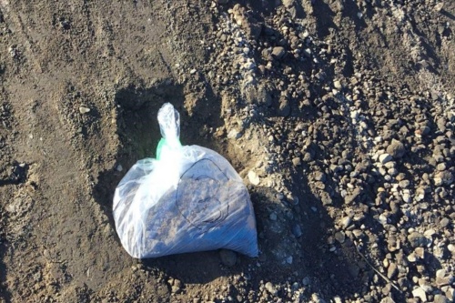 採取した路盤材(写真:国土交通省庄内川河川事務所)