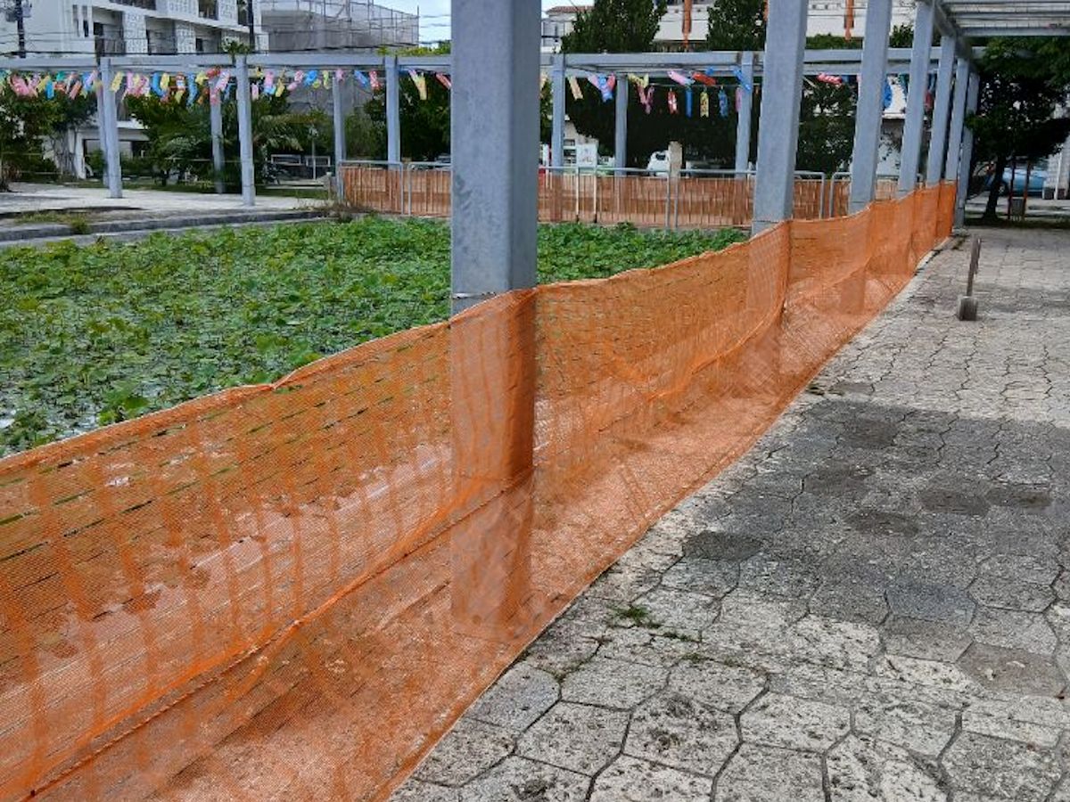 外来ザリガニをセメントで封じ込め、池の水全部抜いて駆除 | 日経