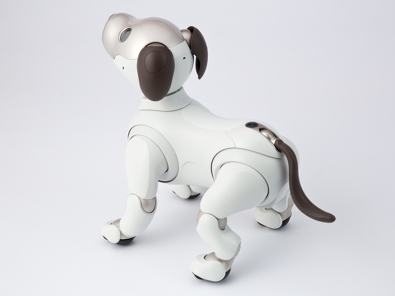 犬の気持ち」でaiboを議論、初期モックはまさかの小熊サイズ（2ページ