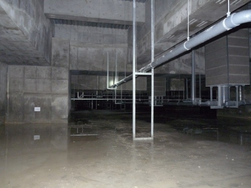 豊洲市場の建物下にある地下空間を各党の都議団が2016年9月に調査した際の写真（写真：日本共産党東京都議会議員団）