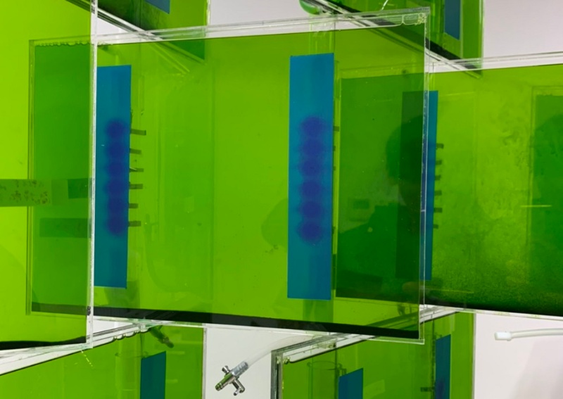 酸素と電気を生み出す 光合成建築 植物 生物由来で循環型社会を目指す 日経クロステック Xtech 酸素と電気を生み出す 光合成建築 植物 生物由来で循環型社会を目指す 日経クロステック Xtech