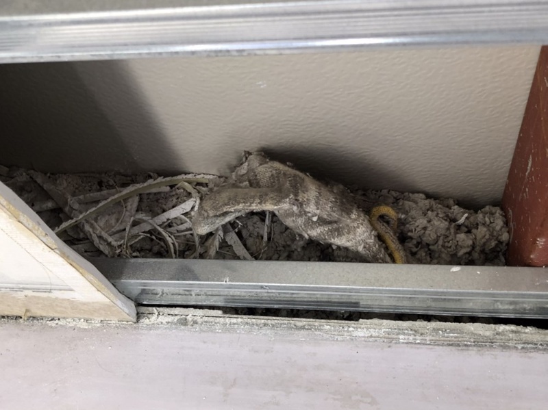 サミット 横浜市中区に13年ぶり出店 桜木町コレットマーレ店 流通ニュース