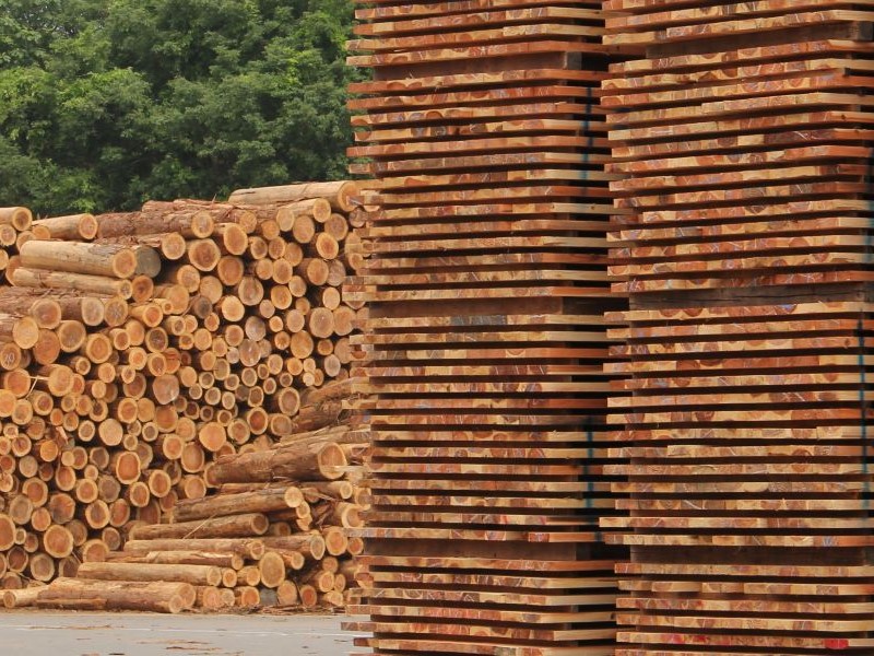 建築向け国産材に目標値、森林・林業基本計画は次のウッドショックを防げるか