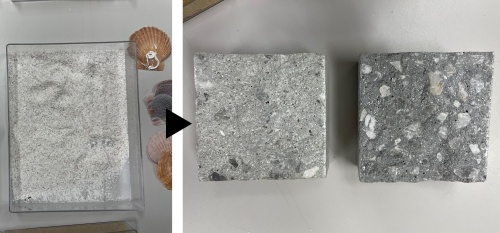 写真左がホタテの貝殻を砕いてつくった細骨材。コンクリート材料のうち、砂と置き換える。右がコンクリートの試験体で、色の濃いものがシリカフュームを添加したもの（写真：日経クロステック）