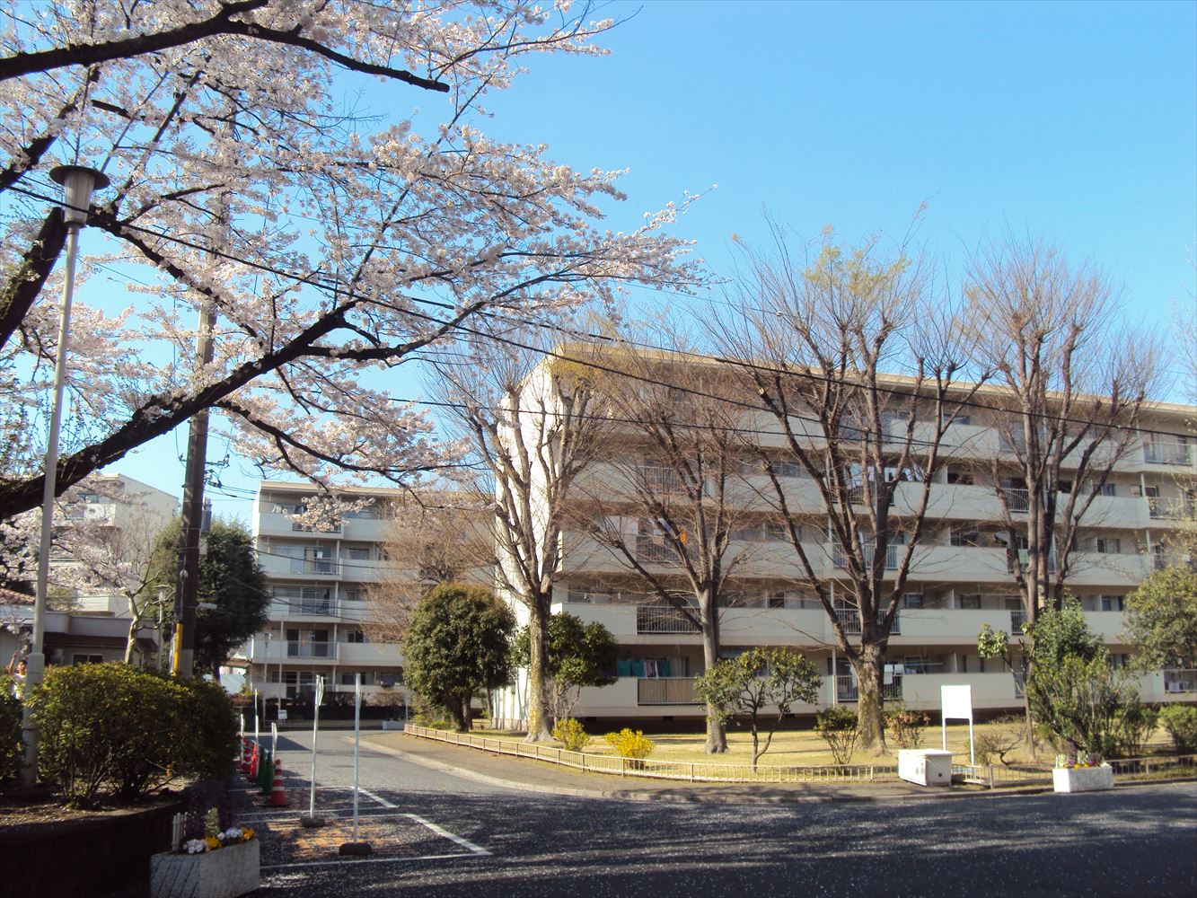 建て替え前の石神井公園団地の外観。RC造の5階建てだった（写真：東京建物）