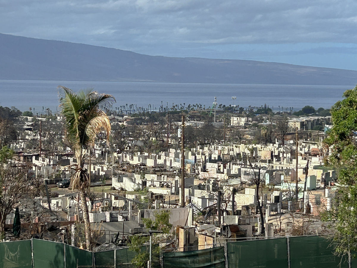 2023年8月8日に発生した山火事で被災した米ハワイ州マウイ島の様子（写真：ボランタリー・アーキテクツ・ネットワーク）