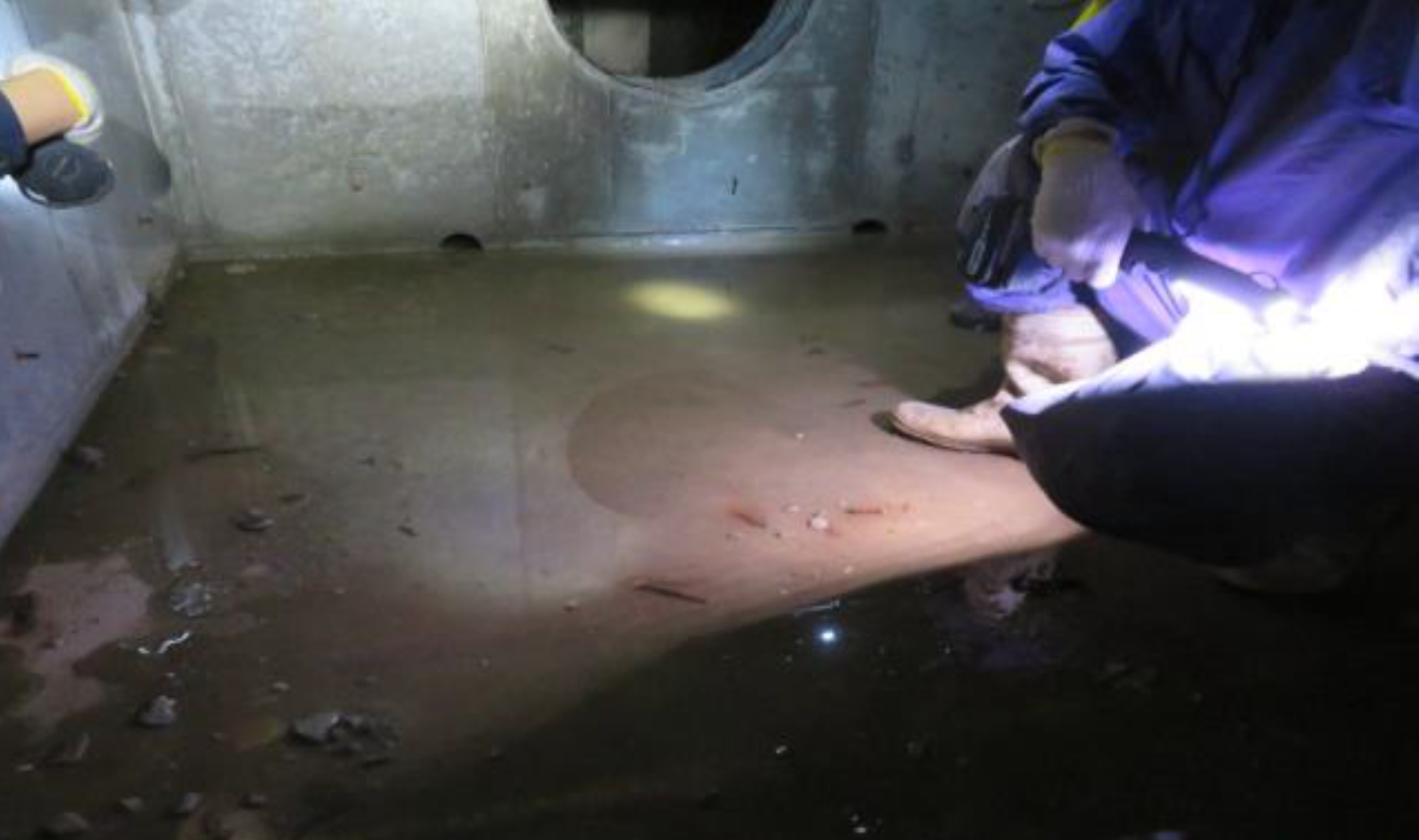 地下ピットでは、躯体のひび割れにより地下水が浸入し、深さ2cmの水たまりができていた（出所：東急ドエル・アルス世田谷フロレスタの区分所有者）