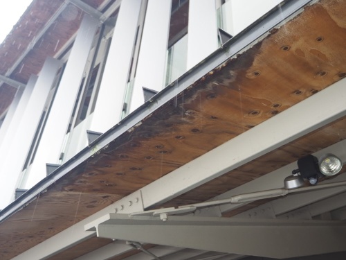 富岡市庁舎議会棟1階の軒裏で発生した雨染み。2025年3月5日撮影(写真:日経クロステック)