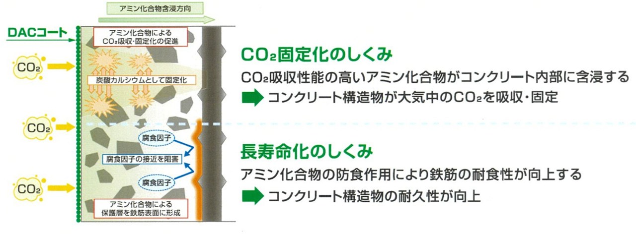 DACコートの仕組み。海水と同じ塩分濃度の環境でも高い防食性能を発揮（出所：清水建設、北海道大学）