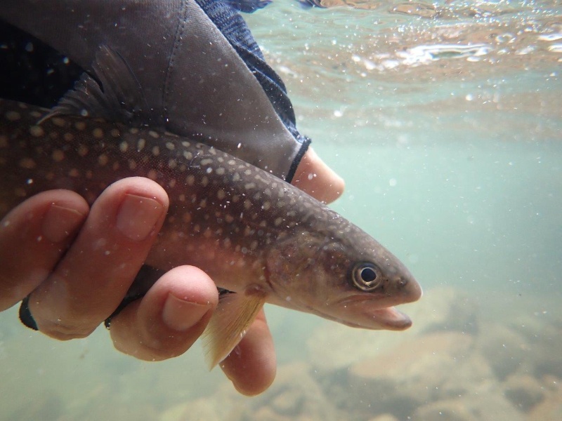 定番防水デジタルカメラの新機種 Tough Tg 6 水中撮影の実力は 2ページ目 日経クロステック Xtech