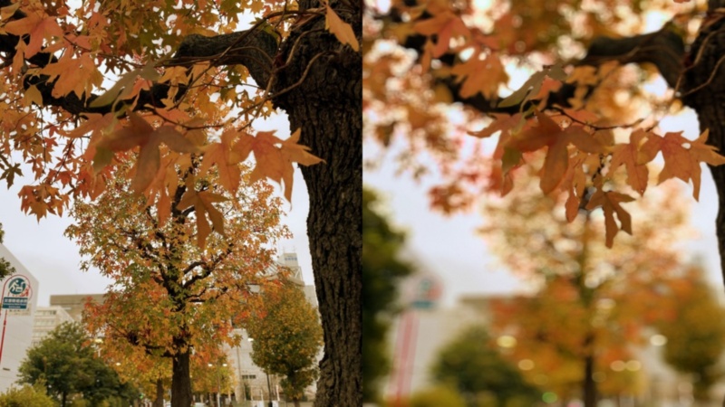 撮った後でピント変更 ボケ味調整アプリ Focos を試す 日経クロステック Xtech 撮った後でピント変更 ボケ味調整アプリ Focos を試す 日経クロステック Xtech