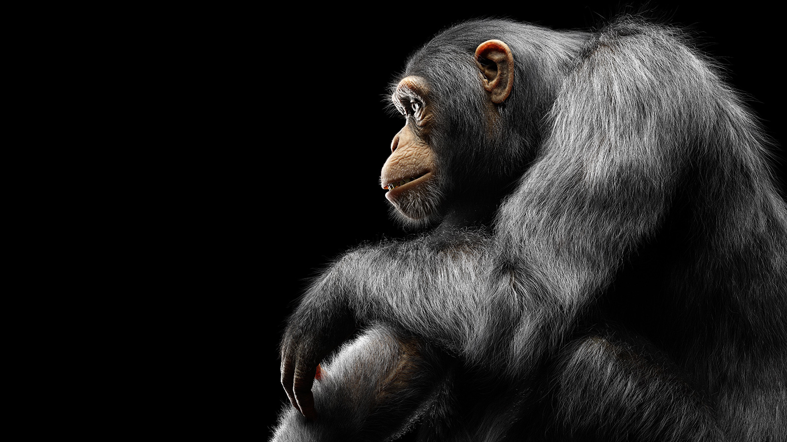 生成AIに思考を委ねると「猿の惑星」に、とりわけ日本は