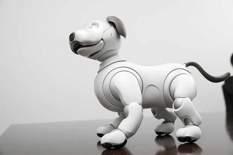 新型aiboは結構スマート。成犬に近いプロポーションをしている