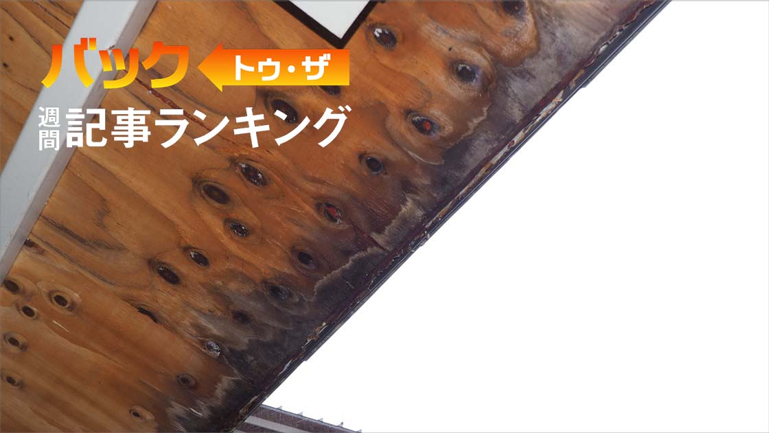 注目は「富岡市庁舎の不具合は表出した不燃薬剤が原因、隈研吾事務所は修繕費負担の意向」