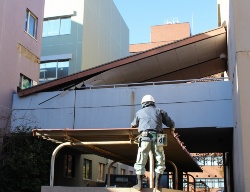 12月10日の午前7時45分ごろに崩落した、筑波大学第1エリアの1B棟（右側）と1C棟（左側）の2階を結ぶ連絡通路の屋根。S造で重さは約25トンある（写真：日経アーキテクチュア）