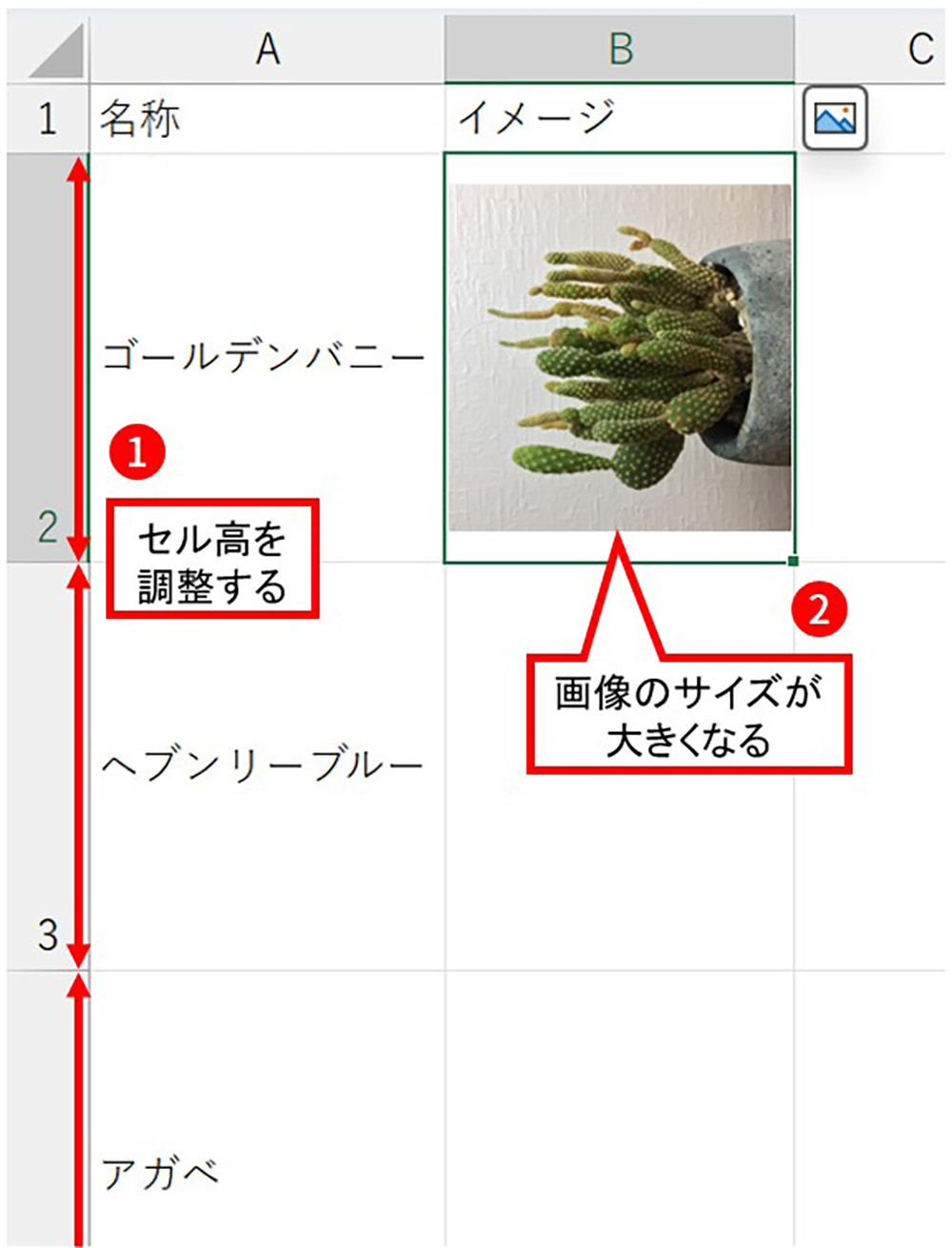 エクセル 写真 貼り 付け セル に 合わせる