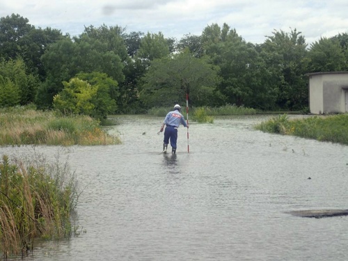 水浸しになった道路脇の敷地（写真：国土交通省近畿地方整備局）