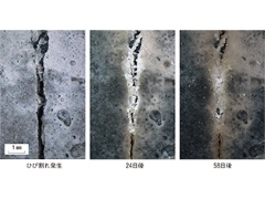 微生物の力でコンクリートのひび割れを閉塞 新着情報 戸田建設