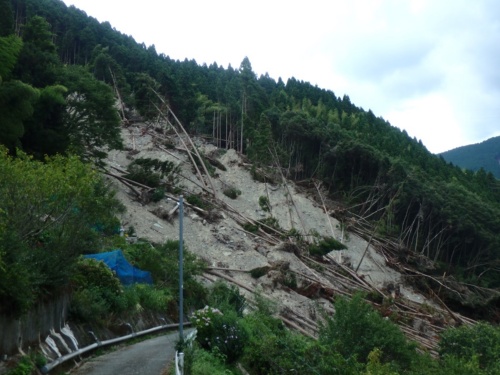 立川橋上部の斜面崩壊の様子。町道から撮影（写真：高知県）
