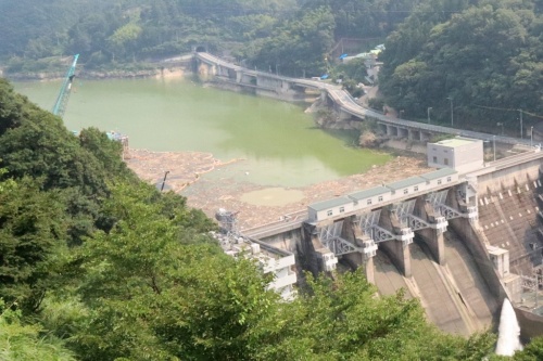 7月19日の鹿野川ダム。豪雨で7000m3の流木が流れ込んだ（写真：日経コンストラクション）