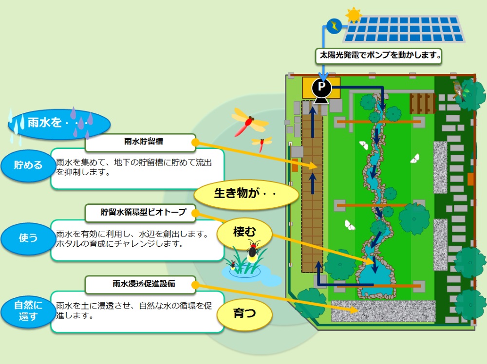 雨水だけで生物が生息できる都市型ビオトープ 日経クロステック Xtech