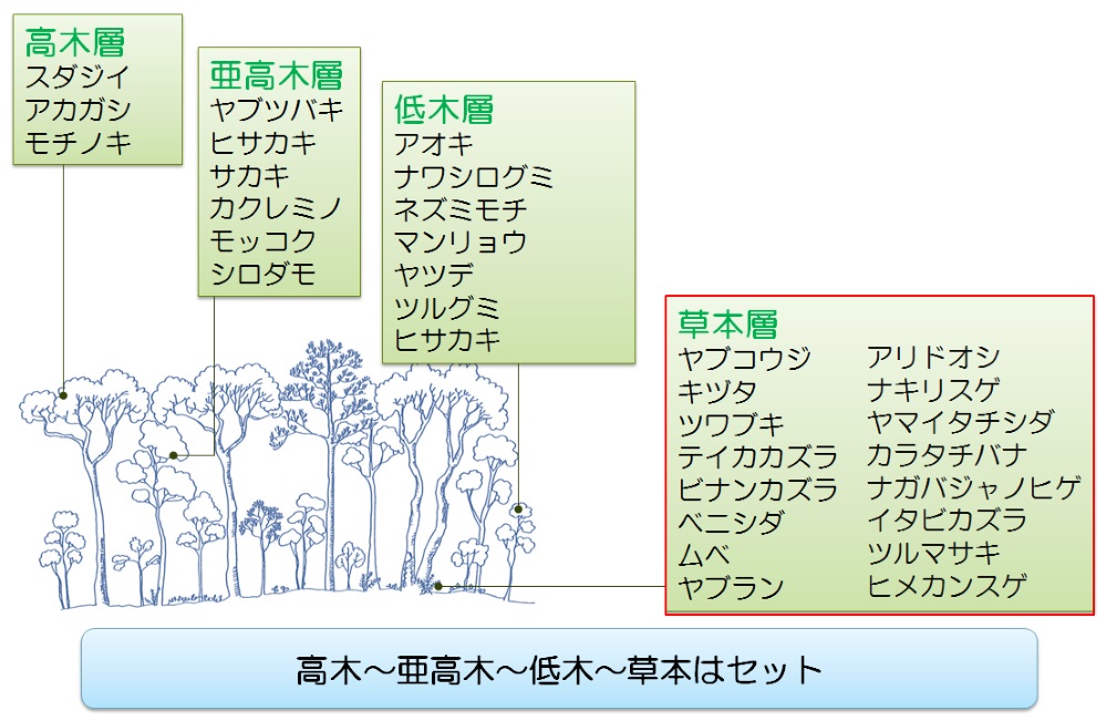 都市に自然な森を 病害虫にも強い マット化植物 日経クロステック Xtech