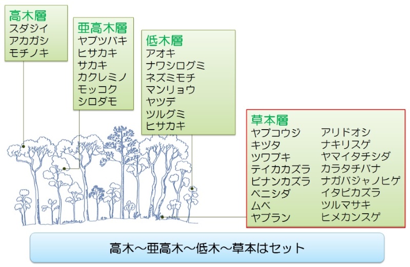 都市に自然な森を 病害虫にも強い マット化植物 日経クロステック Xtech 都市に自然な森を 病害虫にも強い マット化植物 日経クロステック Xtech