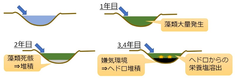 コーヒー豆の炭 が池のヘドロ化防ぐ 植栽基盤も現場でお手軽に 日経クロステック Xtech コーヒー豆の炭 が池のヘドロ化防ぐ 植栽基盤も現場でお手軽に 日経クロステック Xtech
