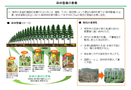 森林整備のイメージ（資料：林野庁）