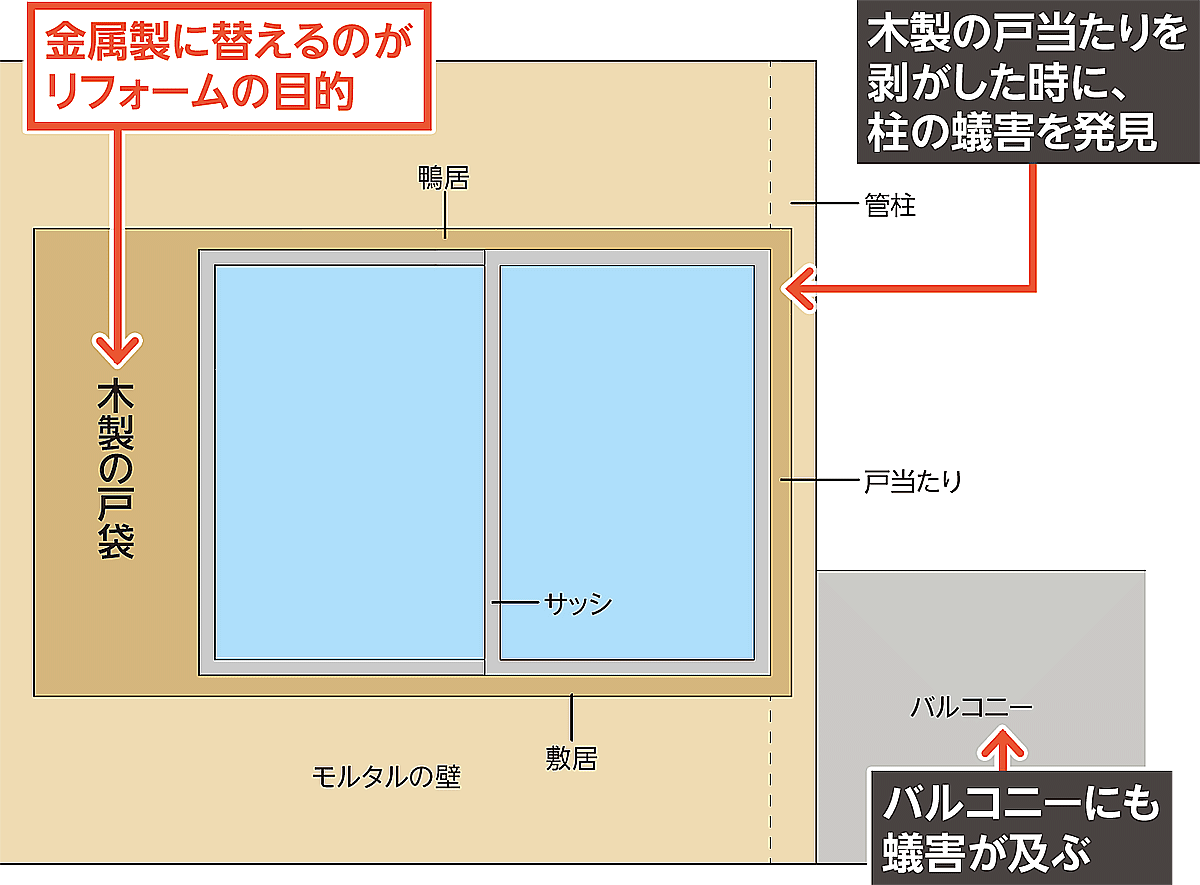 1カ所の蟻害から他の高リスク箇所を推定 日経クロステック Xtech