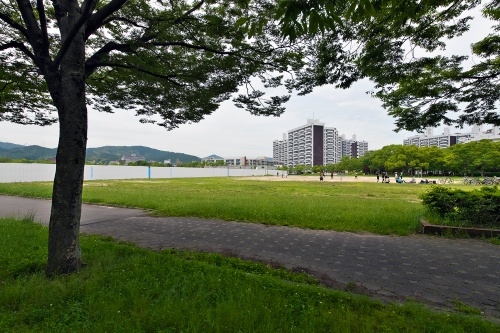 広島市中央公園の北側部分にある「東側広場エリア」。21年6月撮影（写真：生田 将人）
