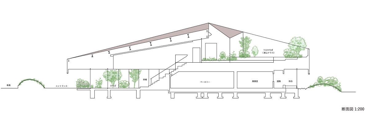 断面図。大階段と吹き抜けスペース、屋上テラスが建物の大きな割合を占める（資料：永山祐子建築設計）