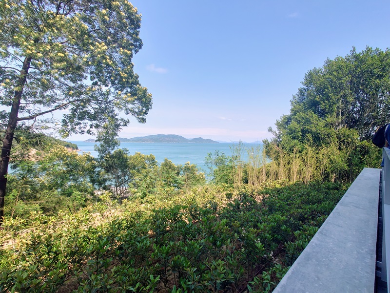 カフェから本村エリアの森や集落、港がよく見える。その先には瀬戸内海が広がり、島々や行き交う船を眺められる（写真：日経クロステック）