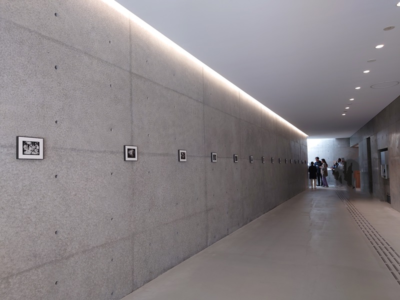 地上1階の美術館エントランス。左手のコンクリートの壁には写真作品を展示。作品は、下道基行＋ジェフリー・リム《瀬戸内「漂泊 家族」写真館（「瀬戸内「　　　」資料館」プロジェクトより）》2024（写真：日経クロステック、直島新美術館「開館記念展示─原点から未来へ」展示風景、2025年）