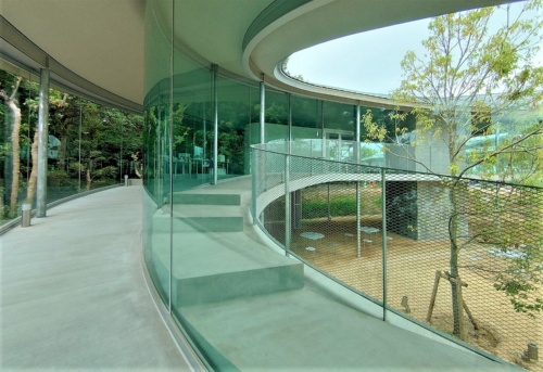 敷地の緑を見ながらスロープを上る。進むにつれて視線の高さが変わる効果を狙っている。使用しているガラスは光が強く当たると、青みがかって見える(写真:日経クロステック)