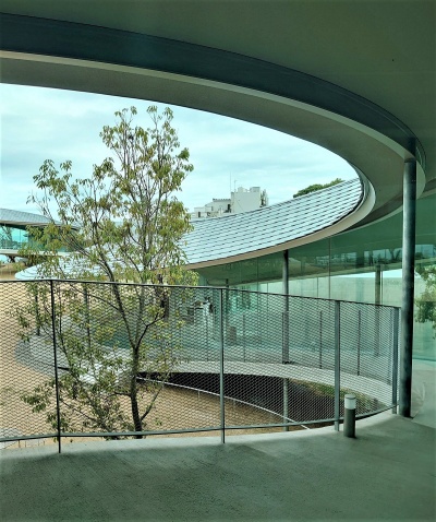 植えられた木は、生態系を守るため地元のものに限られている。整地された広場の土の一部には、植物の種をまいてある(写真:日経クロステック)