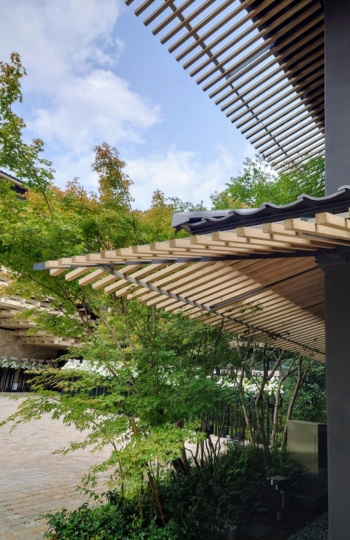 軒先にルーバーのような木材を使った(写真:日経クロステック)