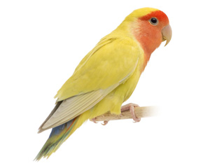 1週間続いた日本郵便サイトのトラブル、「謎の現象」が発生していた可能性あり